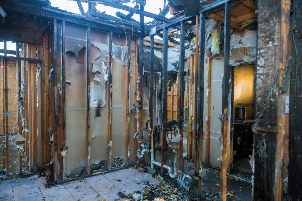 Professional Smoke Damage Removal technician working in Bradenton Beach, FL