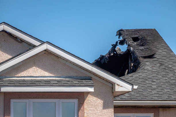 Top rated local Smoke Damage Removal specialists in Bradenton Beach, FL
